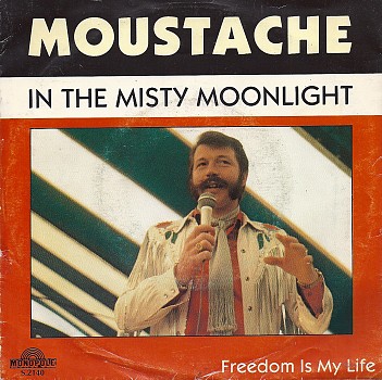 foto van In the misty moonlight van Moustache