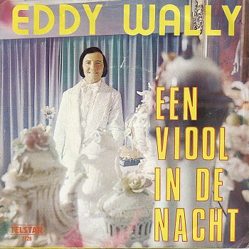 foto van Een viool in de nacht van Eddy Wally