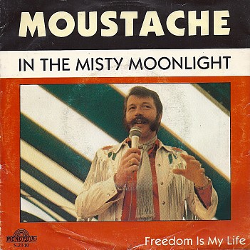 foto van moustache