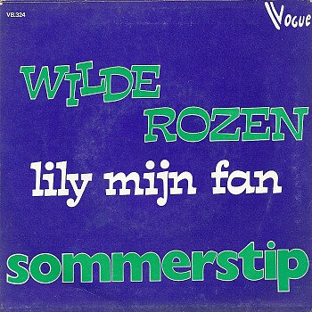 foto van sommerstip